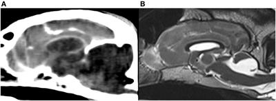 Caudal Fossa Ratio in Normal Dogs and Eurasier Dogs with VLDLR-Associated Genetic Cerebellar Hypoplasia